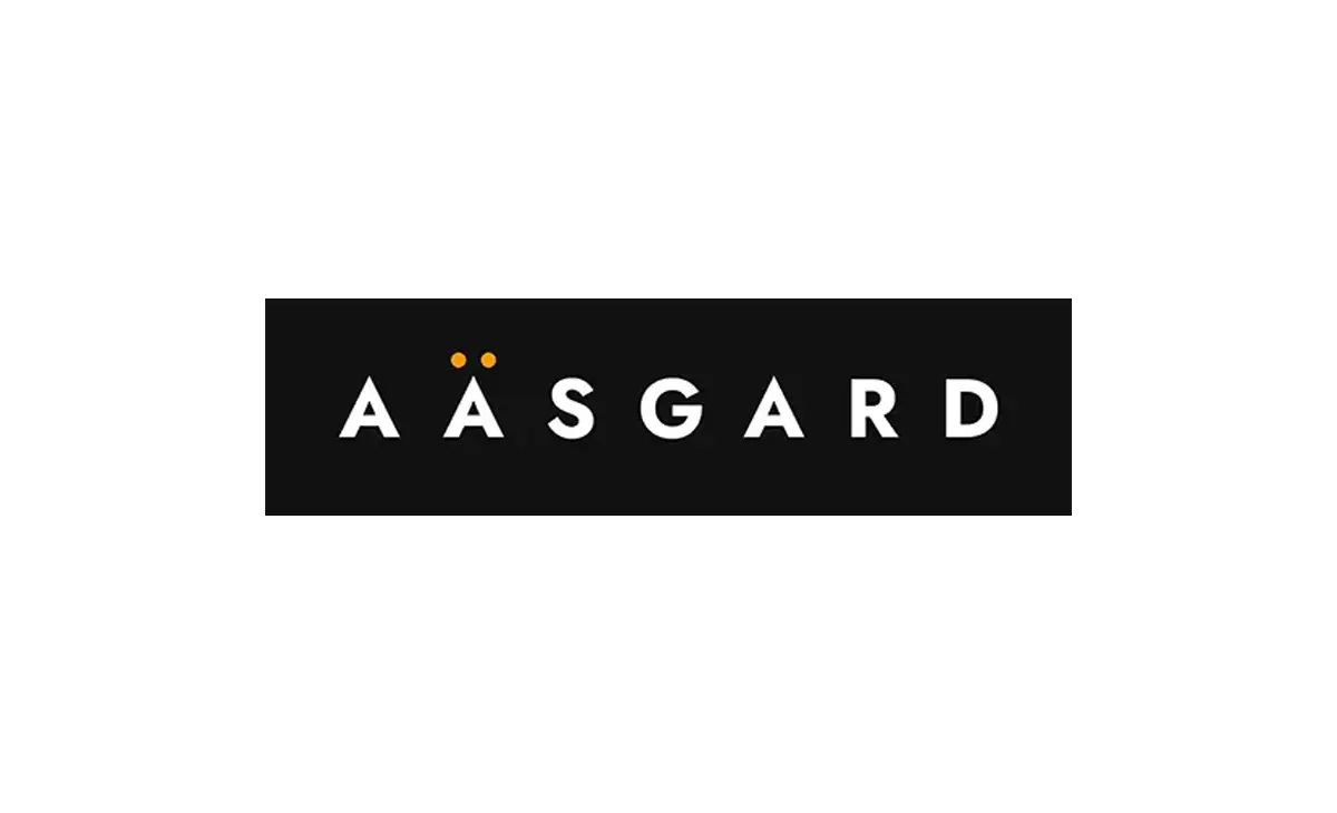 Aasgard, structurer l’organisation interne et les RH dans un contexte ...